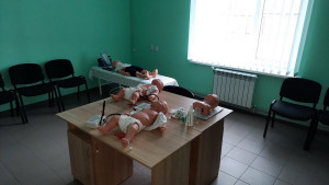 IMG 1662